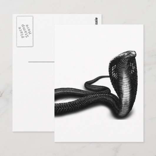 Cobra Postkarte (Vorne/Hinten)