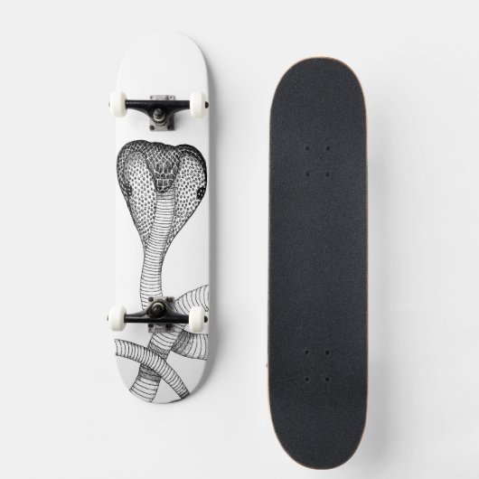 Cobra Skateboard (Vorderseite)