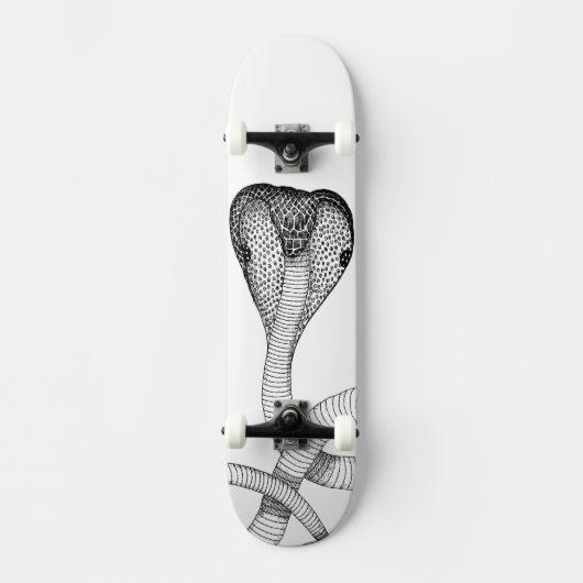 Cobra Skateboard (Vorderseite)