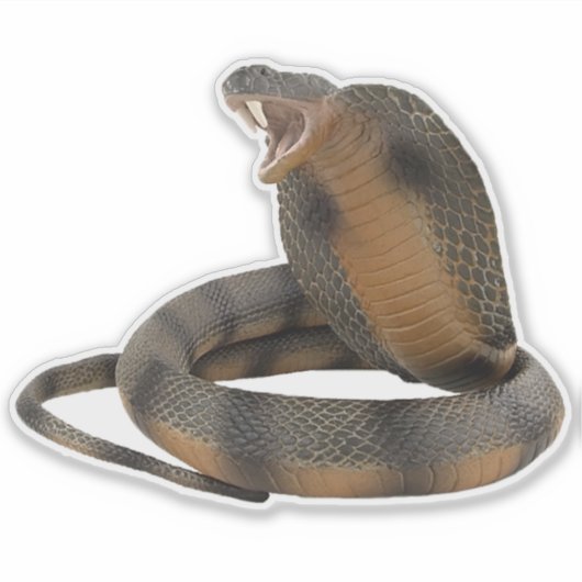 Cobra Sticker (Vorderseite)