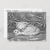 Cobweb + Crabfren Postkarte (Vorne/Hinten)