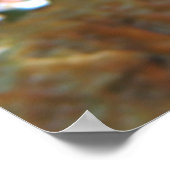 Cocao Damselfish Poster (Ecke)