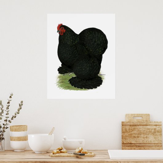 Cochin: Black Hen Poster (Küche)