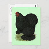 Cochin: Black Hen Postkarte (Vorne/Hinten)