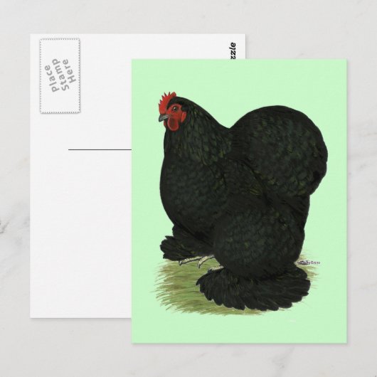 Cochin: Black Hen Postkarte (Vorne/Hinten)