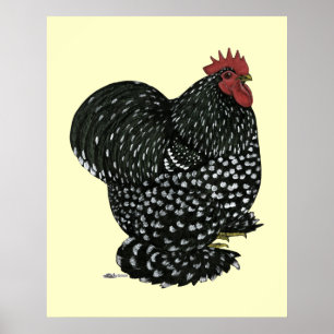 Cochin: Black Mottle Poster