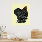 Cochin: Black Mottle Poster (Küche)