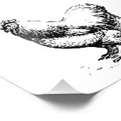 Cochin Chicken Fotodruck (Ecke)