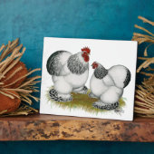 Cochin Columbian Bantams Fotoplatte (Seite)