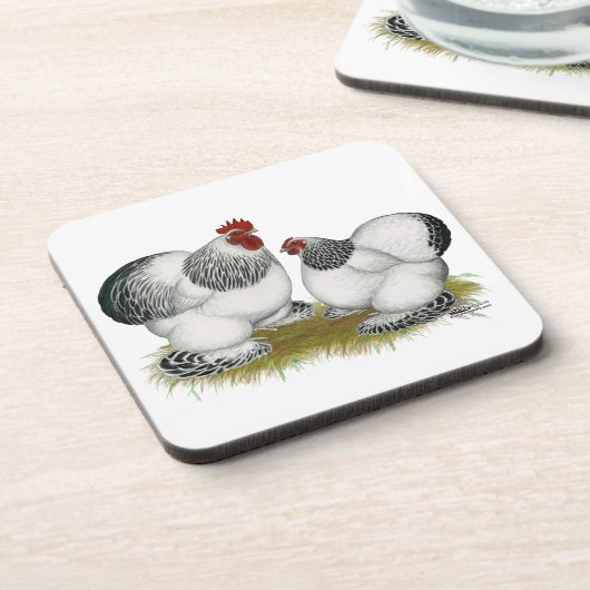 Cochin Columbian Bantams Getränkeuntersetzer (Linke Seite)
