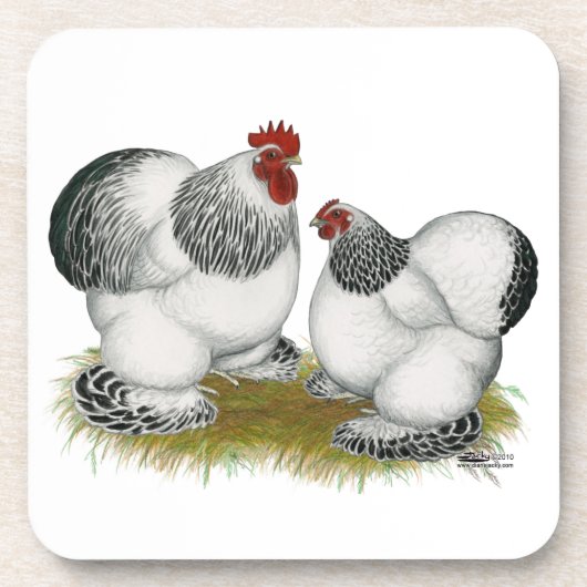 Cochin Columbian Bantams Getränkeuntersetzer (Vorderseite)
