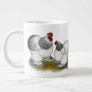Cochin Columbian Bantams Jumbo-Tasse