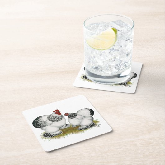 Cochin Columbian Bantams Rechteckiger Pappuntersetzer (Vor Ort)