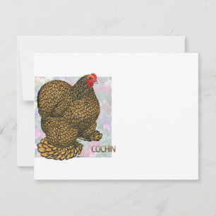 Cochin: Goldlaced Hen