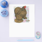 Cochin: Goldlaced Hen Flyer (Einzeln)