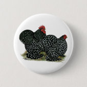 Cochin Mottled Chickens Button (Vorderseite)