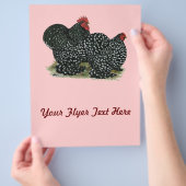 Cochin Mottles Chickens Flyer (Hand)