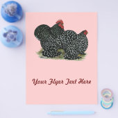 Cochin Mottles Chickens Flyer (Einzeln)
