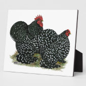 Cochin Mottles Chickens Fotoplatte (Seite)