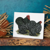 Cochin Mottles Chickens Fotoplatte (Seite)