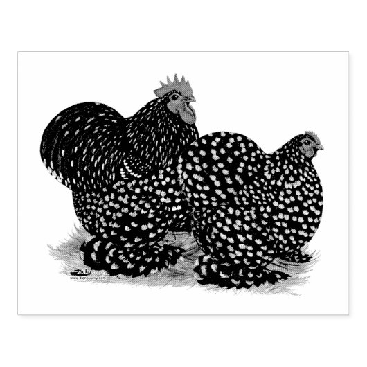 Cochin Mottles Chickens Gummistempel (Prägung)