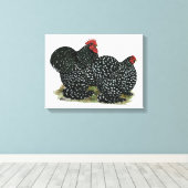 Cochin Mottles Chickens Leinwanddruck (Insitu (Holzboden))