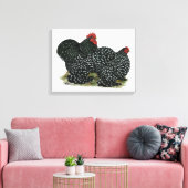 Cochin Mottles Chickens Leinwanddruck (Insitu (Wohnzimmer))