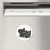 Cochin Mottles Chickens Magnet (In Situ (Geschirrspüler))