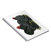 Cochin Mottles Chickens Notizblock (Rechte Seite)