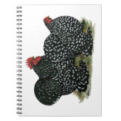 Cochin Mottles Chickens Notizblock (Vorderseite)