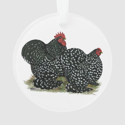 Cochin Mottles Chickens Ornament (Rückseite)