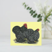 Cochin Mottles Chickens Postkarte (Stehend Vorderseite)
