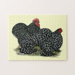 Cochin Mottles Chickens Puzzle
