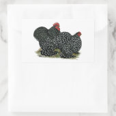 Cochin Mottles Chickens Rechteckiger Aufkleber (Tasche)