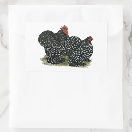 Cochin Mottles Chickens Rechteckiger Aufkleber (Tasche)