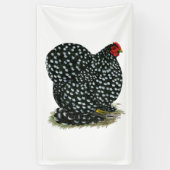 Cochin Mottling Hen Banner (Vertikal)