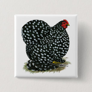 Cochin Mottling Hen Button