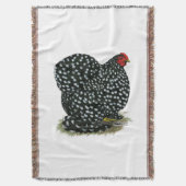 Cochin Mottling Hen Decke (Vorderseite Vertikal)