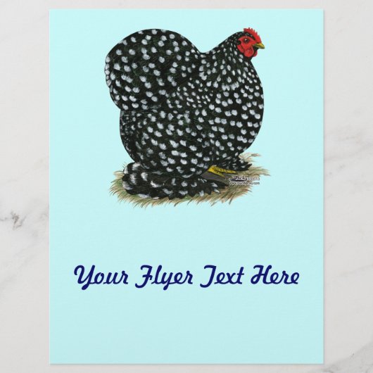Cochin Mottling Hen Flyer (Vorne)