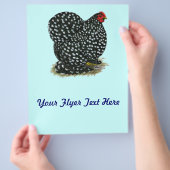 Cochin Mottling Hen Flyer (Hand)