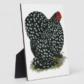 Cochin Mottling Hen Fotoplatte (Seite)