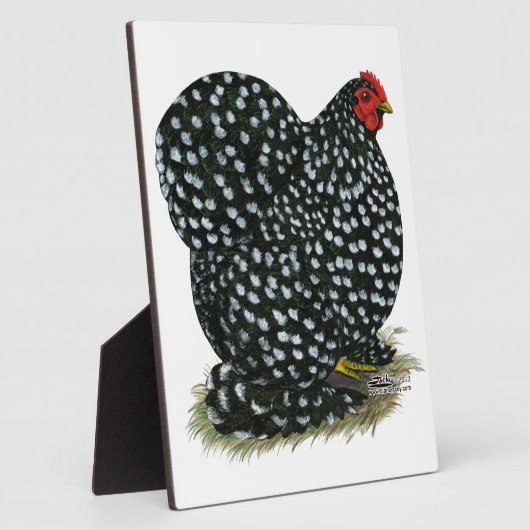 Cochin Mottling Hen Fotoplatte (Seite)