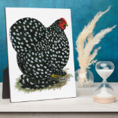 Cochin Mottling Hen Fotoplatte (Seite)