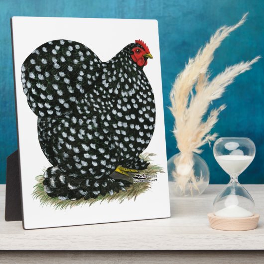 Cochin Mottling Hen Fotoplatte (Seite)