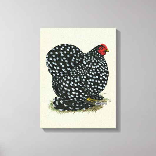 Cochin Mottling Hen Leinwanddruck (Vorderseite)