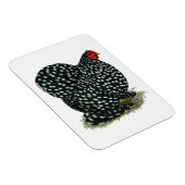 Cochin Mottling Hen Magnet (Rechte Seite)