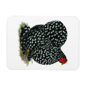 Cochin Mottling Hen Magnet (Horizontal)