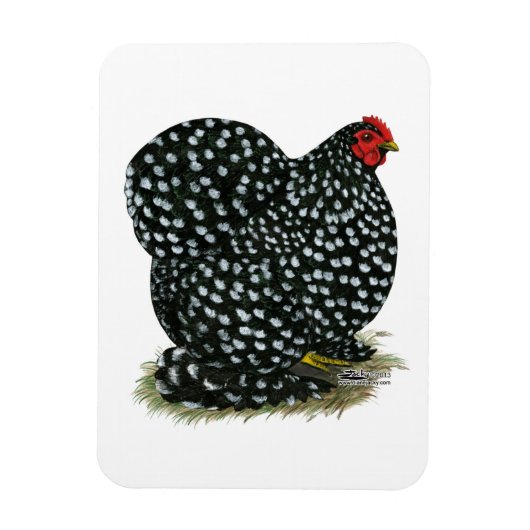 Cochin Mottling Hen Magnet (Vertikal)