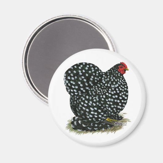Cochin Mottling Hen Magnet (Vorderseite/Rückseite)
