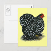 Cochin Mottling Hen Postkarte (Vorne/Hinten)